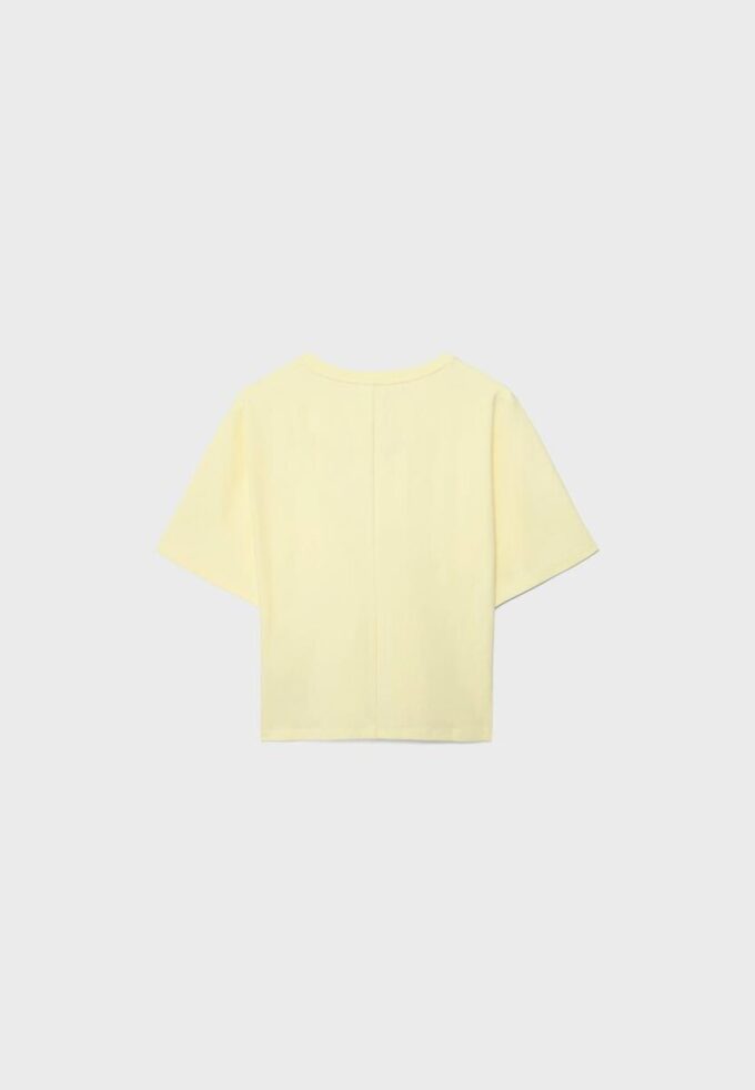 Japansk kortärmad T-shirt